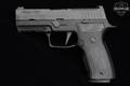 Sig Sauer P320 AXG Carry 9mm Luger (9x19 Para) Nitron in Excellent Condition Image 3