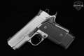 Para Ordnance Para 1911 Warthog .45 ACP Stainless Steel in Very Good Condition Image 3