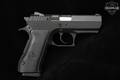 Israel Weapon Industries (IWI) JERICHO 941 9mm Luger Black in Very Good Condition Image 2